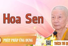 Hoa Sen – Thích Trí Quảng hoa sen thich tri quang