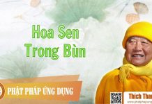 Hoa Sen Trong Bùn – Thích Thanh Từ hoa sen trong bun thich thanh tu