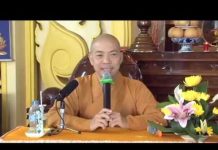 Hoa Sen Trong Cuộc Đời – Thích Quang Thạnh hoa sen trong cuoc doi thich qua