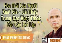 Hoa Trái Của Người Xuất Gia – Cái Thấy Trung Đạo Vượt Thoát Các Cặp Đối Lặp – Thích Nhất Hạnh hoa trai cua nguoi xuat gia cai