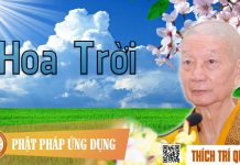 Hoa Trời – Thích Trí Quảng hoa troi thich tri quang