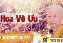 Hoa Vô Ưu – Thích Trí Quảng 2016 hoa vo uu thich tri quang 2016