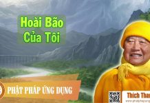 Hoài Bão Của Tôi – Thích Thanh Từ hoai bao cua toi thich thanh tu