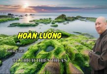 Hoàn Lương – Thích Thiện Thuận hoan luong thich thien thuan