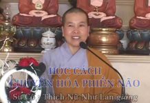 Học Cách Chuyển Hóa Phiền Não – Thích Nữ Như Lan hoc cach chuyen hoa phien nao th