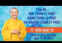 Học Chân Lý Phật, Hành Chân Lý Phật Và Truyền Chân Lý Phật – Thích Nhật Từ hoc chan ly phat hanh chan ly ph