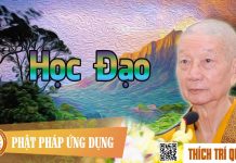 Học Đạo – Thích Trí Quảng hoc dao thich tri quang