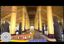 Học Hạnh Con Chó – Thích Nhật Từ hoc hanh con cho thich nhat tu