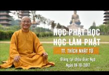 Học Phật Học Và Học Làm Phật – Thích Nhật Từ hoc phat hoc va hoc lam phat thi