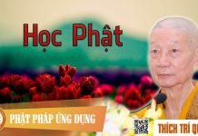 Học Phật – Thích Trí Quảng hoc phat thich tri quang