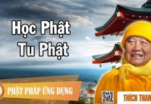 Học Phật Tu Phật – Thích Thanh Từ hoc phat tu phat thich thanh tu