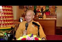 Học Tu, Tu Tập Và Kết Hợp Chuyên Tu Tịnh Độ – Thích Trí Huệ hoc tu tu tap va ket hop chuyen
