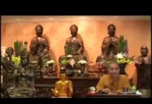 Hỏi Đáp Sau Thuyết Giảng Kinh Pháp Cú – Thích Tâm Đức hoi dap sau thuyet giang kinh ph