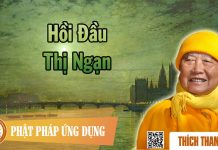Hồi Đầu Thị Ngạn – Thích Thanh Từ hoi dau thi ngan thich thanh tu