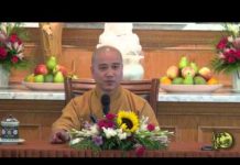 Hồi Hướng 4 – Thích Pháp Hòa hoi huong 4 thich phap hoa