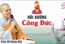 Hồi Hướng Công Đức – Thích Nữ Hương Nhũ hoi huong cong duc thich nu huon