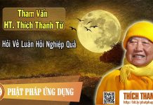 Hỏi Về Luân Hồi Nghiệp Quả – Tham vấn HT Thích Thanh Từ 31 hoi ve luan hoi nghiep qua tham