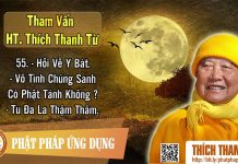 Hỏi Về Y Bát, Vô Tình Chúng Sanh Có Phật Tánh Không,Tu Đa La Thậm Thâm Là Gì Tham vấn HT Thanh Từ 55 hoi ve y bat vo tinh chung sanh