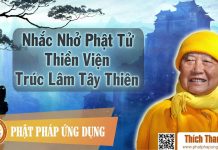 HT Thích Thanh Từ Nhắc Nhở Phật Tử Tại Thiền Viện Trúc Lâm Tây Thiên ht thich thanh tu nhac nho phat