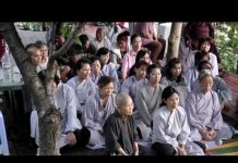 Hướng Dẫn Cách Ngồi Thiền 2 – Thích Trí Huệ huong dan cach ngoi thien 2 thic