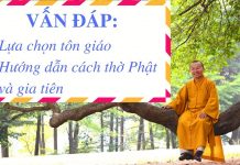 Hướng dẫn lựa chọn tôn giáo, thờ Phật – Thích Nhật Từ huong dan lua chon ton giao tho