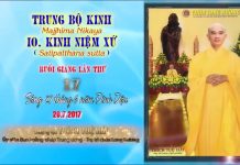 Hướng Dẫn Tu Tập Thiền Tứ Niệm Xứ Bài 17 – Thích Tuệ Hải huong dan tu tap thien tu niem x 1