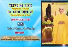 Hướng Dẫn Tu Tập Thiền Tứ Niệm Xứ Bài 8 – Thích Tuệ Hải huong dan tu tap thien tu niem x 10