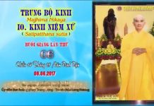 Hướng Dẫn Tu Tập Thiền Tứ Niệm Xứ Bài 6 – Thích Tuệ Hải huong dan tu tap thien tu niem x 12