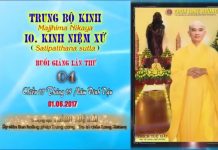 Hướng Dẫn Tu Tập Thiền Tứ Niệm Xứ Bài 4 – Thích Tuệ Hải huong dan tu tap thien tu niem x 14