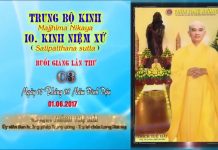 Hướng Dẫn Tu Tập Thiền Tứ Niệm Xứ Bài 3 – Thích Tuệ Hải huong dan tu tap thien tu niem x 15