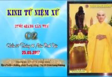 Hướng Dẫn Tu Tập Thiền Tứ Niệm Xứ Bài 2 – Thích Tuệ Hải huong dan tu tap thien tu niem x 16