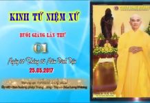 Hướng Dẫn Tu Tập Thiền Tứ Niệm Xứ Bài 1 – Thích Tuệ Hải huong dan tu tap thien tu niem x 17