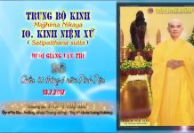 Hướng Dẫn Tu Tập Thiền Tứ Niệm Xứ Bài 16 – Thích Tuệ Hải huong dan tu tap thien tu niem x 2