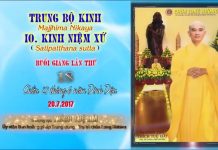 Hướng Dẫn Tu Tập Thiền Tứ Niệm Xứ Bài 18 – Thích Tuệ Hải huong dan tu tap thien tu niem x