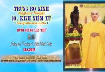 Hướng Dẫn Tu Tập Thiền Tứ Niệm Xứ Bài 15 – Thích Tuệ Hải huong dan tu tap thien tu niem x 3