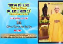 Hướng Dẫn Tu Tập Thiền Tứ Niệm Xứ Bài 14 – Thích Tuệ Hải huong dan tu tap thien tu niem x 4