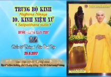 Hướng Dẫn Tu Tập Thiền Tứ Niệm Xứ Bài 12 – Thích Tuệ Hải huong dan tu tap thien tu niem x 6