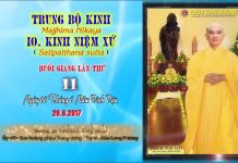 Hướng Dẫn Tu Tập Thiền Tứ Niệm Xứ Bài 11 – Thích Tuệ Hải huong dan tu tap thien tu niem x 7