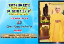 Hướng Dẫn Tu Tập Thiền Tứ Niệm Xứ Bài 10 – Thích Tuệ Hải huong dan tu tap thien tu niem x 8