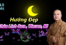Hướng Đẹp – Thích Pháp Hòa huong dep thich phap hoa