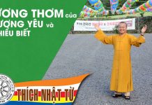 Hương thơm của thương yêu và sự hiểu biết – Thích Nhật Từ huong thom cua thuong yeu va su