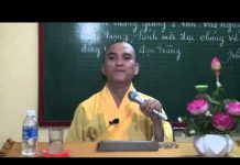 Hữu Xạ Tự Nhiên Hương – Thích Thiện Tuệ huu xa tu nhien huong thich thie
