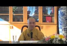 Kể Chuyện Năm Mùi 2015 – Thích Pháp Hòa ke chuyen nam mui 2015 thich pha