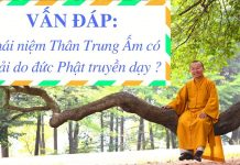 Khái niệm Thân-Trung-Ấm – Thích Nhật Từ khai niem than trung am thich nh