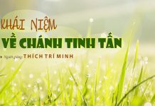 Khái Niệm Về Chánh Tinh Tấn – Thích Trí Minh khai niem ve chanh tinh tan thic