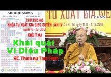 Khái Quát Vi Diệu Pháp – Thích Nữ Tâm Tâm khai quat vi dieu phap thich nu