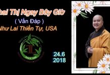 Khai Thị Ngay Bây Giờ (Vấn Đáp) – Thích Pháp Hòa khai thi ngay bay gio van dap th
