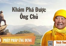 Khám Phá Được Ông Chủ – Thích Thanh Từ kham pha duoc ong chu thich than