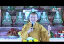 Khát vọng sống đẹp – Thích Nhật Từ khat vong song dep thich nhat tu