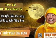 Khi Ngồi Thiền Có Luồng Hơi Nóng, Nghe Tiếng Kêu – Tham vấn HT Thích Thanh Từ 9 khi ngoi thien co luong hoi nong